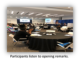 participants listening to opening remarks